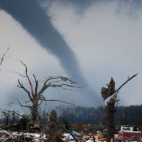 Pulling Back the Covers on the Insurance Industry